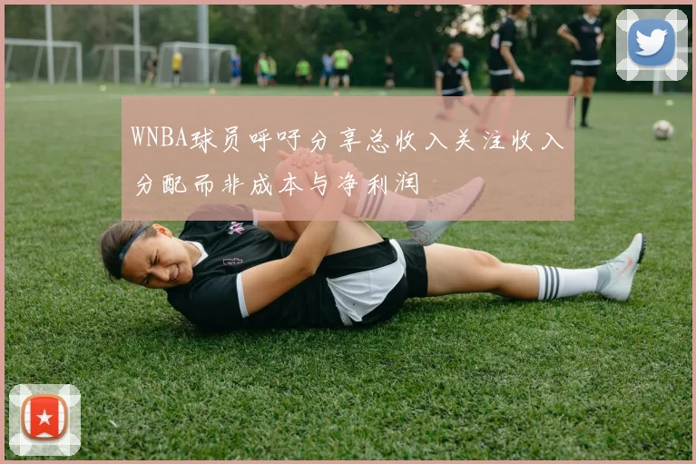 WNBA球员呼吁分享总收入关注收入分配而非成本与净利润