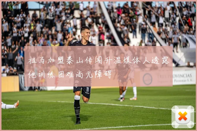 祖马加盟泰山传闻升温媒体人透露他训练困难尚无障碍