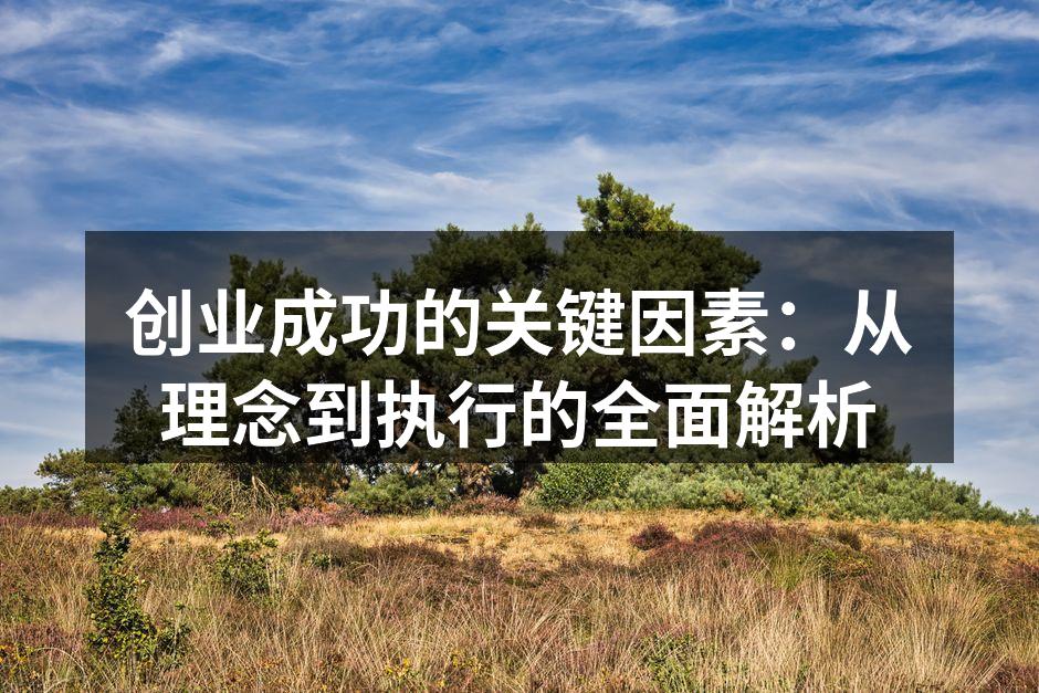 创业成功的关键因素：从理念到执行的全面解析